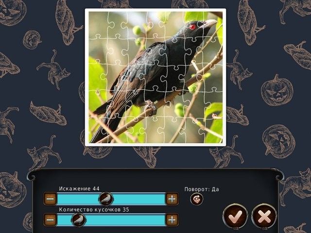 Скриншот к игре «1001 Пазл. Черный ворон» №3